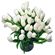 White Tulips. Tulips are delicated and refined flowers that symbolize spring and romance. They are ususally available since February till April. At other times during the year their stock may be limited.. Brazil