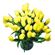 Yellow Tulips. Tulips are delicated and refined flowers that symbolize spring and romance. They are ususally available since February till April. At other times during the year their stock may be limited.. Brazil