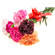 Mixed Color Carnations. Brazil