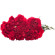 Red Carnations. Brazil